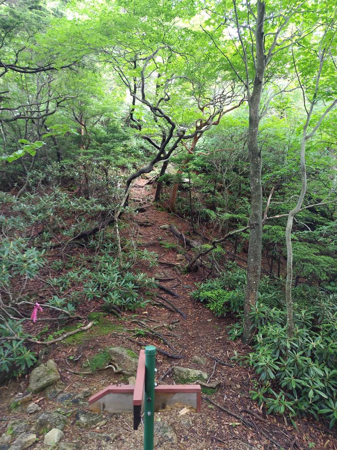 千手ヶ浜バス停-黒槍岳登山口-黒檜岳 往復コースの写真