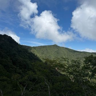 右手のぽこんとしたのは節刀ヶ岳
あとでね👋