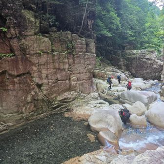 沢登をしてるパーティーさんに遭遇