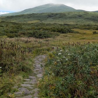ココにはもう来る機会がないかもしれない😢
そう感じながら、しばらく月山を眺めてから後を立ち去りました🤘