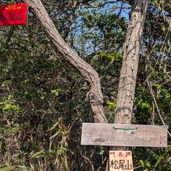 沢山表示ありまーす!