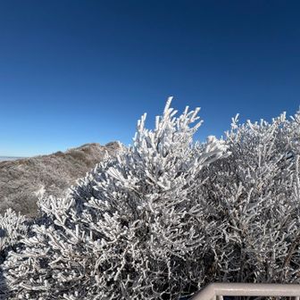 今日は大当たり🎯