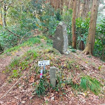 以前来た時には見つけられなかった鷹取山の山頂。