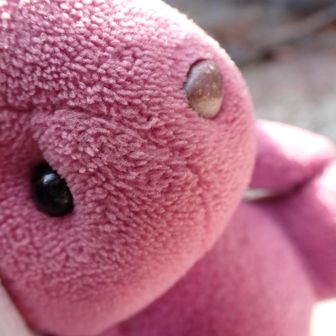 AIIKE（あいいけ）