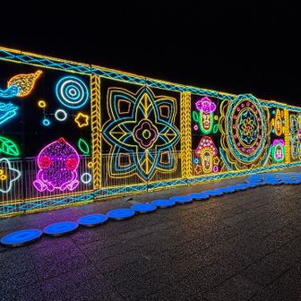 あの、先いっていいですよ？
て、撮影楽しむ女子に勧められて、そそくさと下山退散する、悲しきソロ登山おじさんの私😭