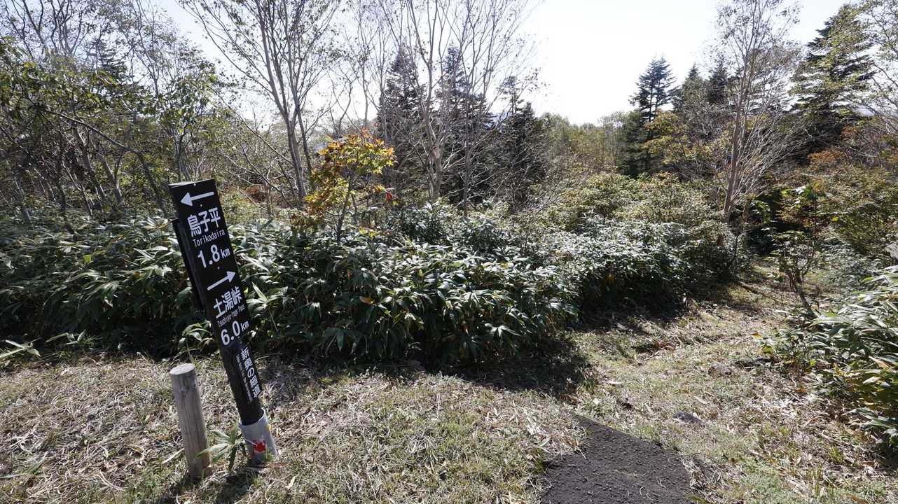 磐梯・吾妻・安達太良ボルケーノトレイル#1（駱駝山〜一切経山〜吾妻小富士〜東吾妻山）、セクションハイク の写真 60