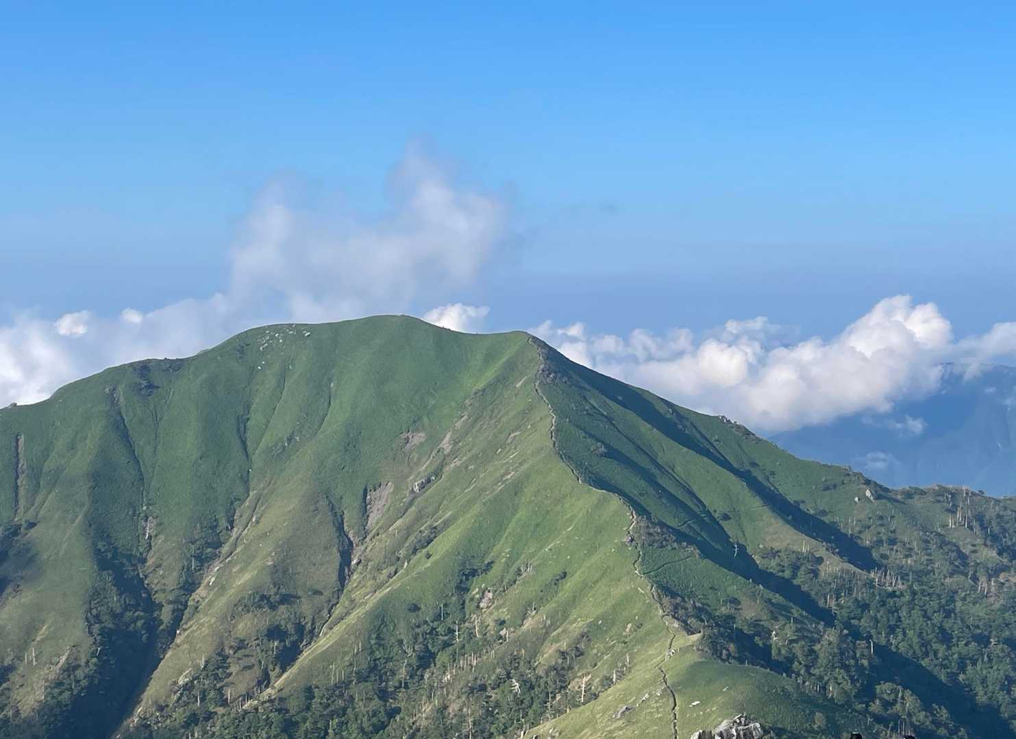 剣山王道コース | 四国の空に浮かぶ稜線美を歩くの写真