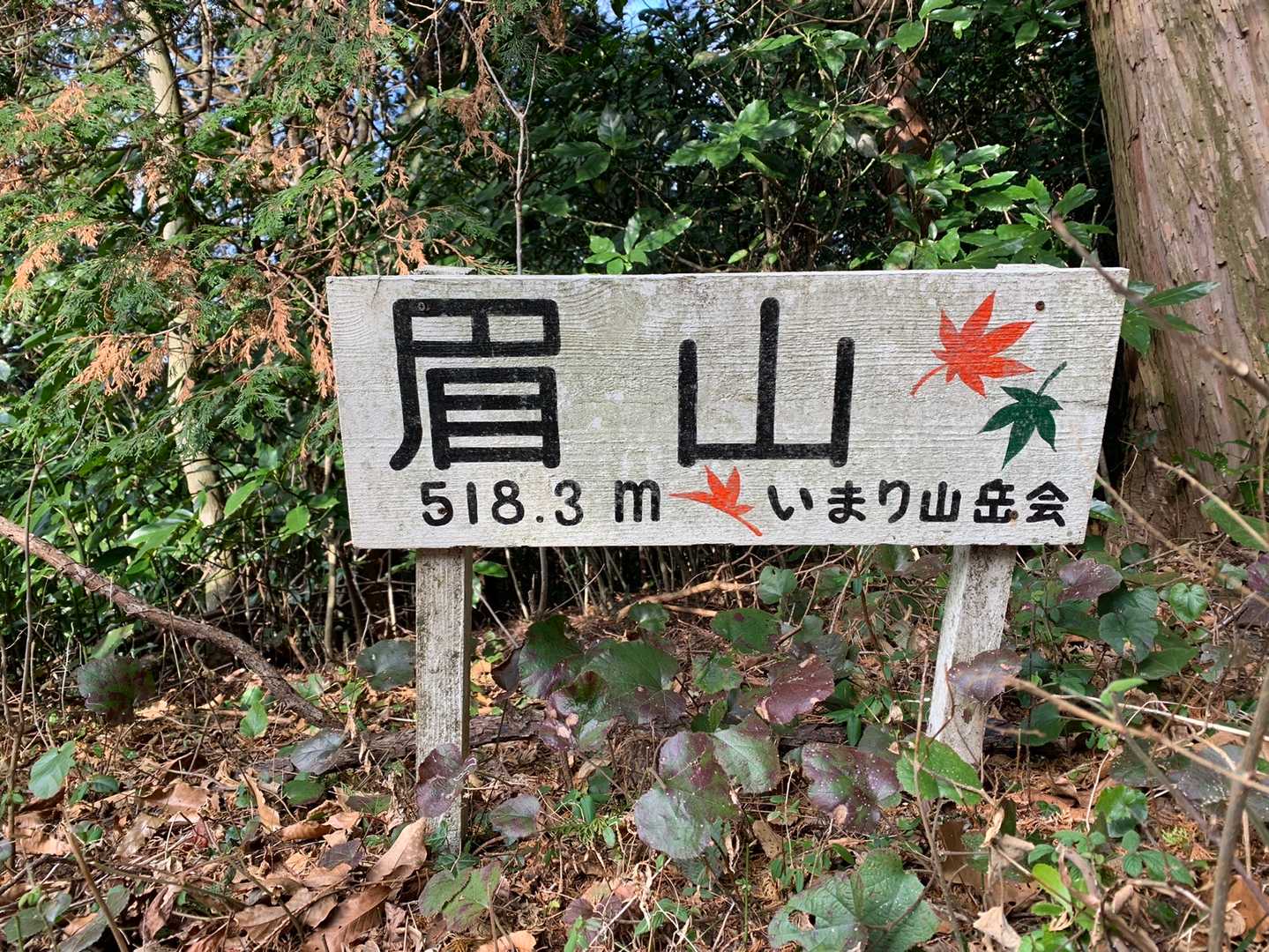 最後の900mが遠かった…
