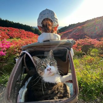 ᴬʸᵃⁿᵒꕀ♡