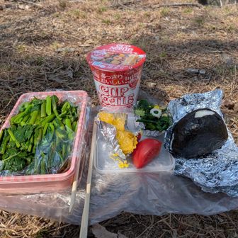 ツツジ山にてランチ
カキナの青物
トマト🍅&夏みかん
おにぎり
カップめん

