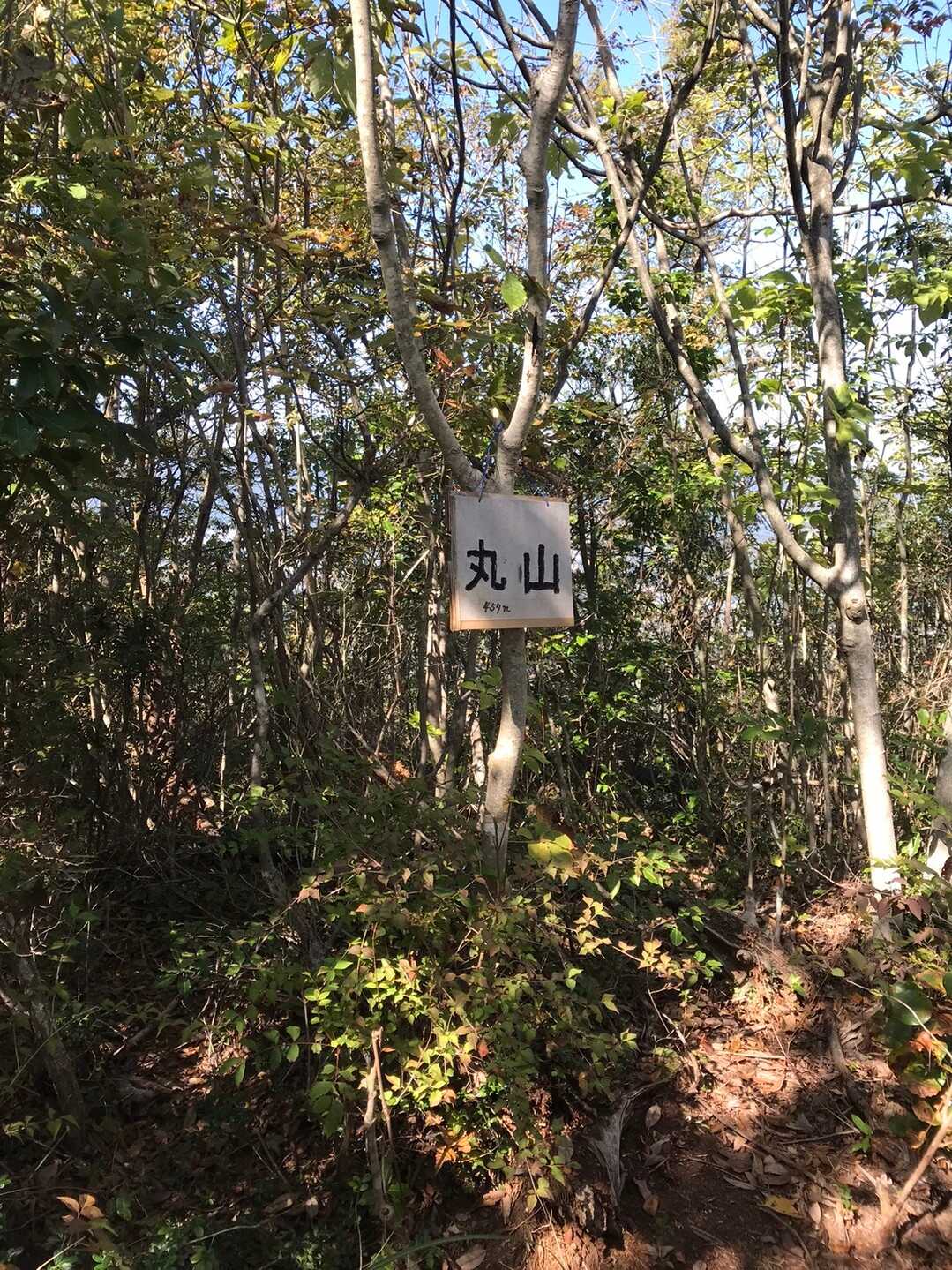 丸山の写真