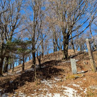 ここから高知側に下ります。
土佐北街道