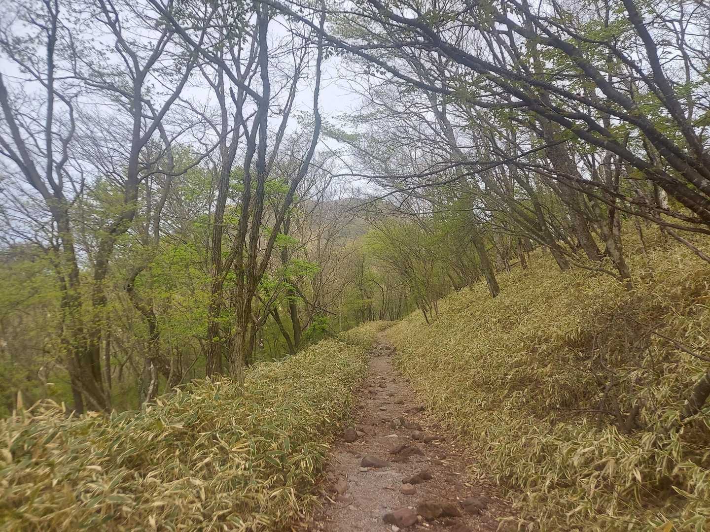 結局地蔵岳は止めた