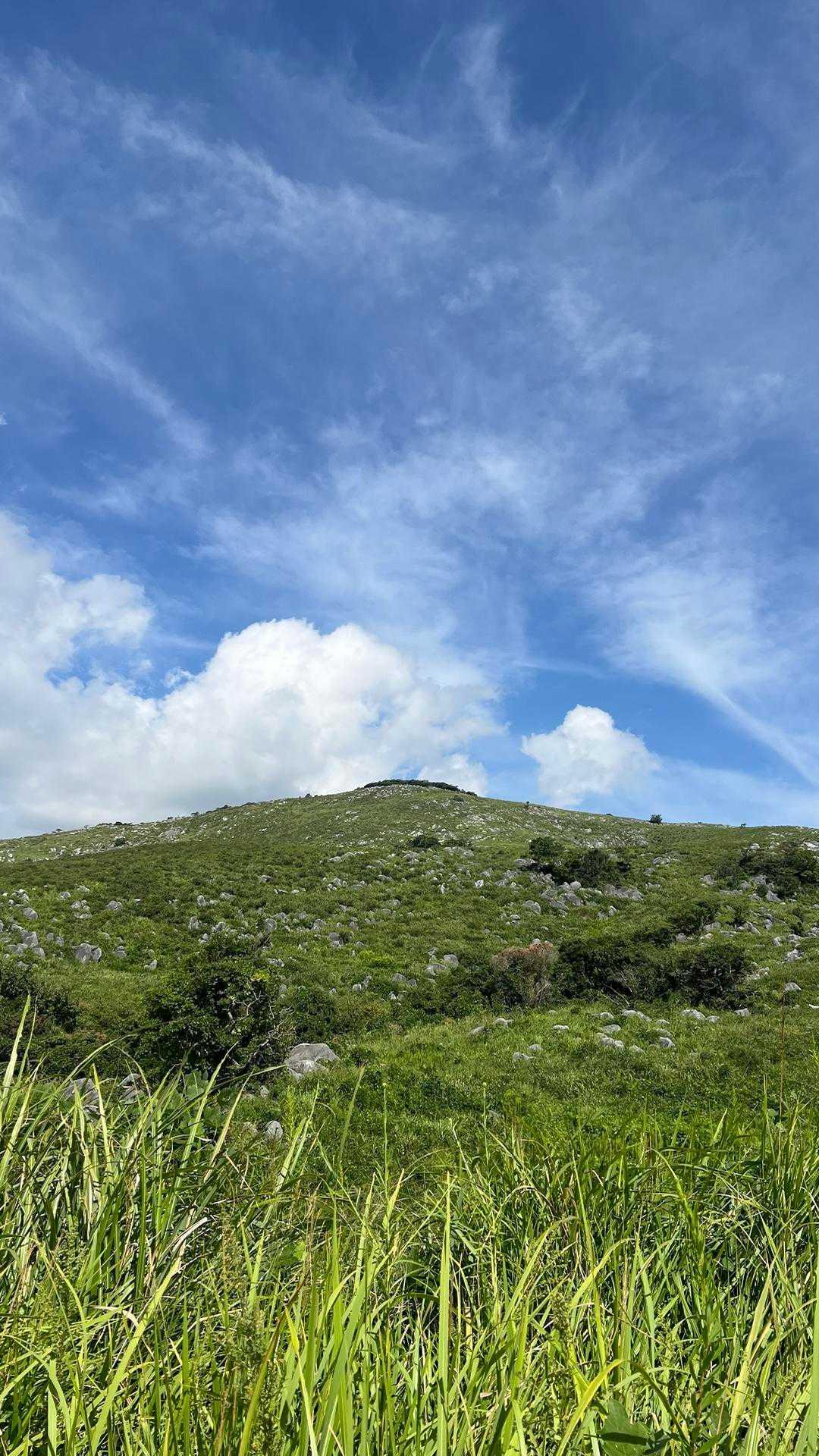 秋の空になって来たなー