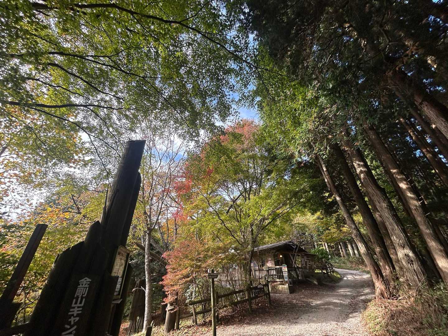 千早本道登山口-金剛山-金剛山山頂売店-転法輪寺-金剛山葛 縦走コースの写真