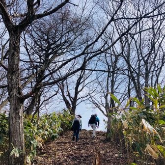 ここが本当のピーク