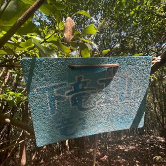 下竜王山は竜王山より、その名の通り低かった。