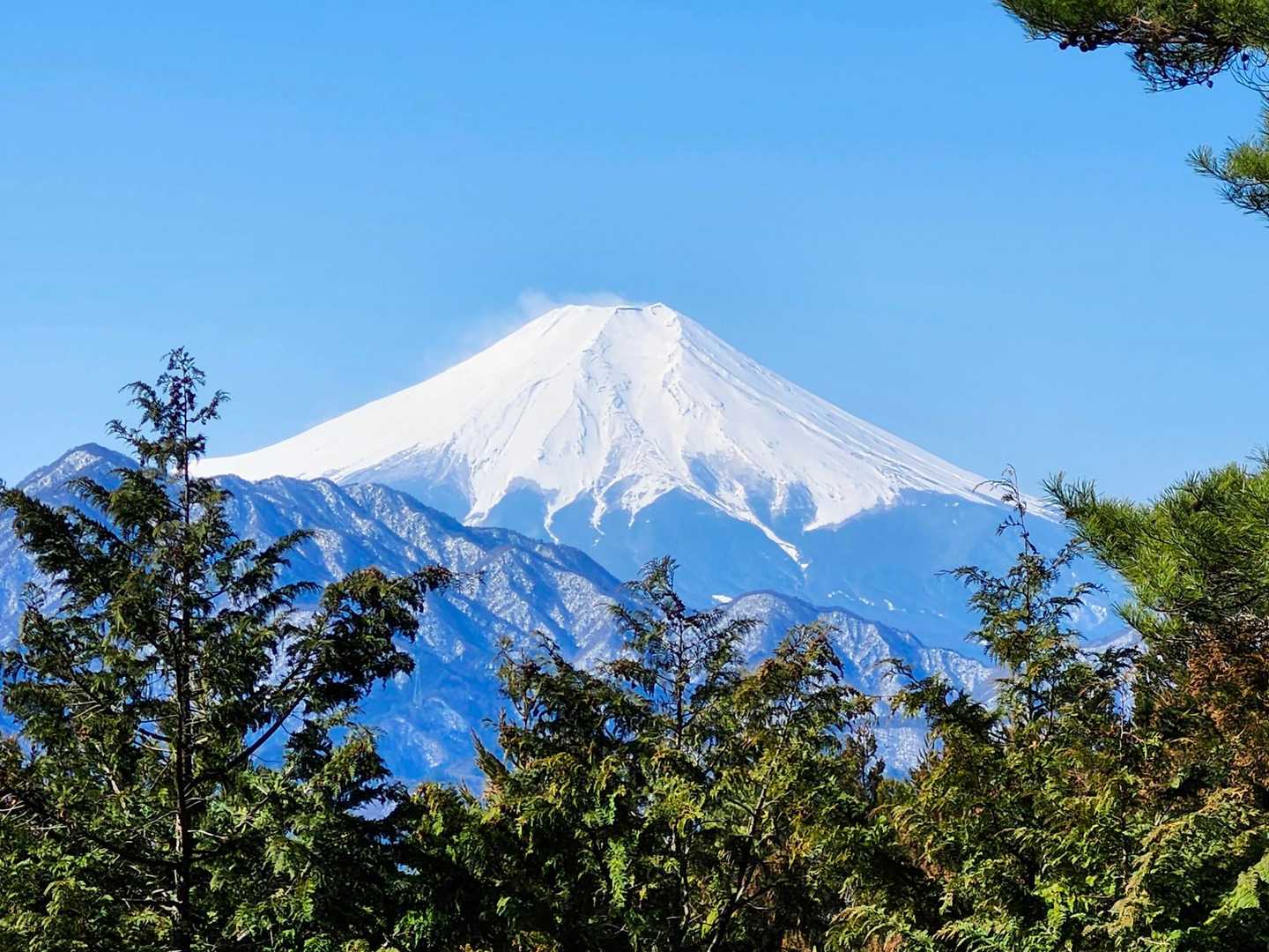 看板とは逆かーい。裏側にドーン。さっすが秀麗富嶽、どこもドーンですね。