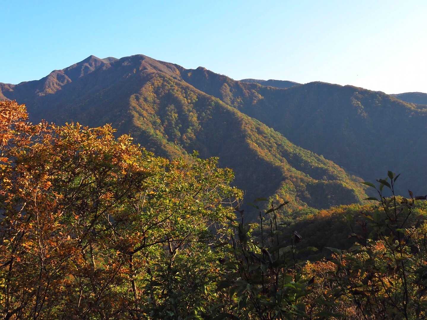 粟ヶ岳の写真