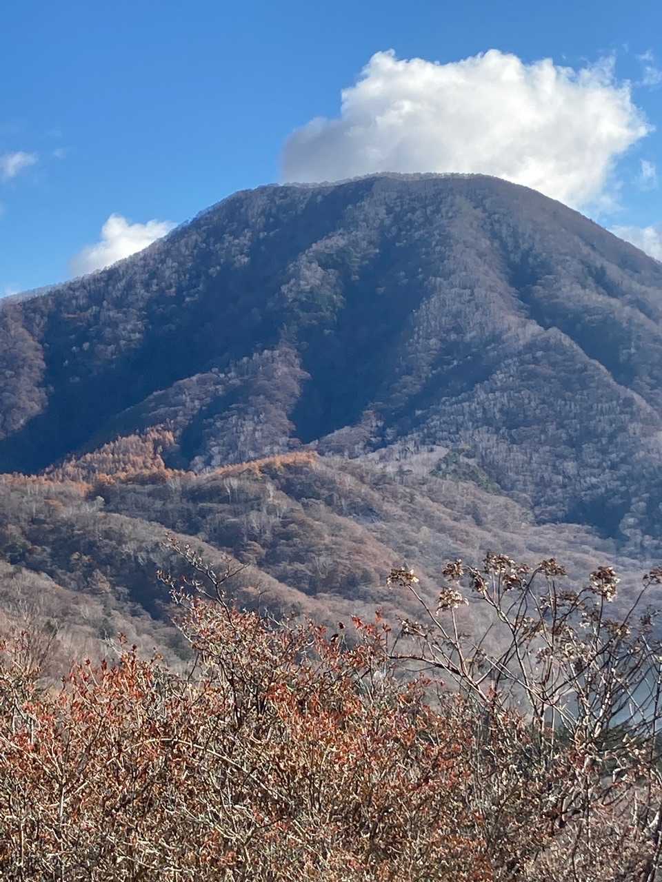 黒檜がよんどる