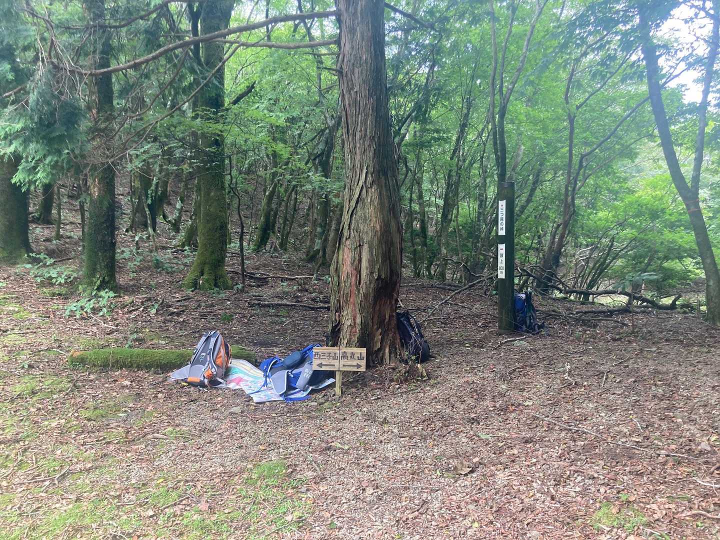 三ツ尾の峠には荷物が❓