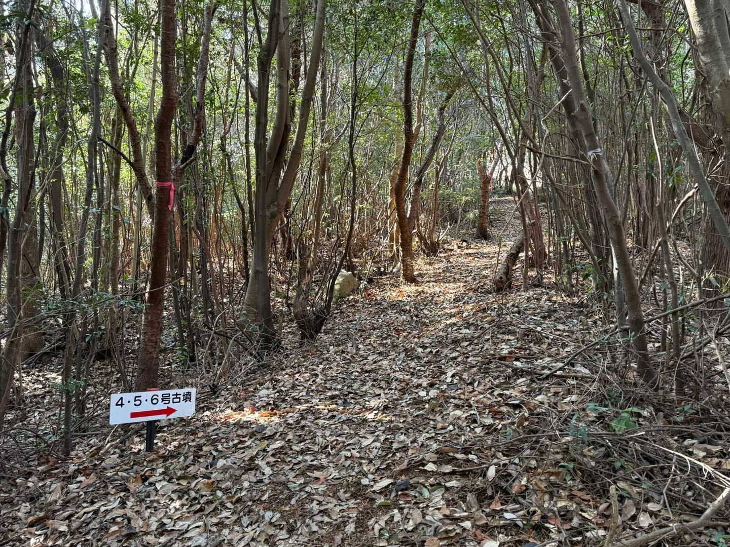 柴山古墳群入口-柴山 往復コースの写真