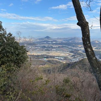 近江富士
栗東トレーニングセンター
が望めます