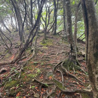 ちょっと登り