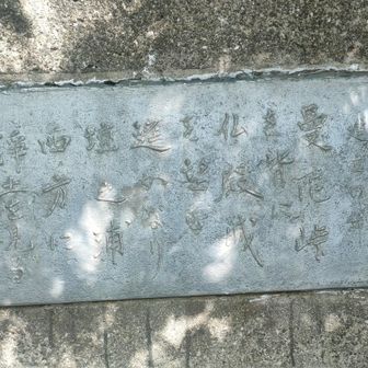 文殊菩薩観音様の足元に
『曼陀峠を背に仏殿城を望む 遥かなり壇之浦西方に浄土を見る』
向いている先には仏殿城…川之江城がありました🤔