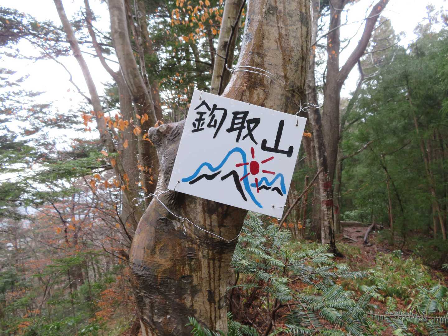 鈎取山　200 m