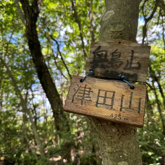 奥島山⛰️近江百山