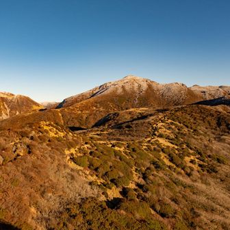 行きより、霧氷が無くなってる