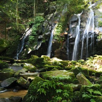 素晴らしい金引の滝