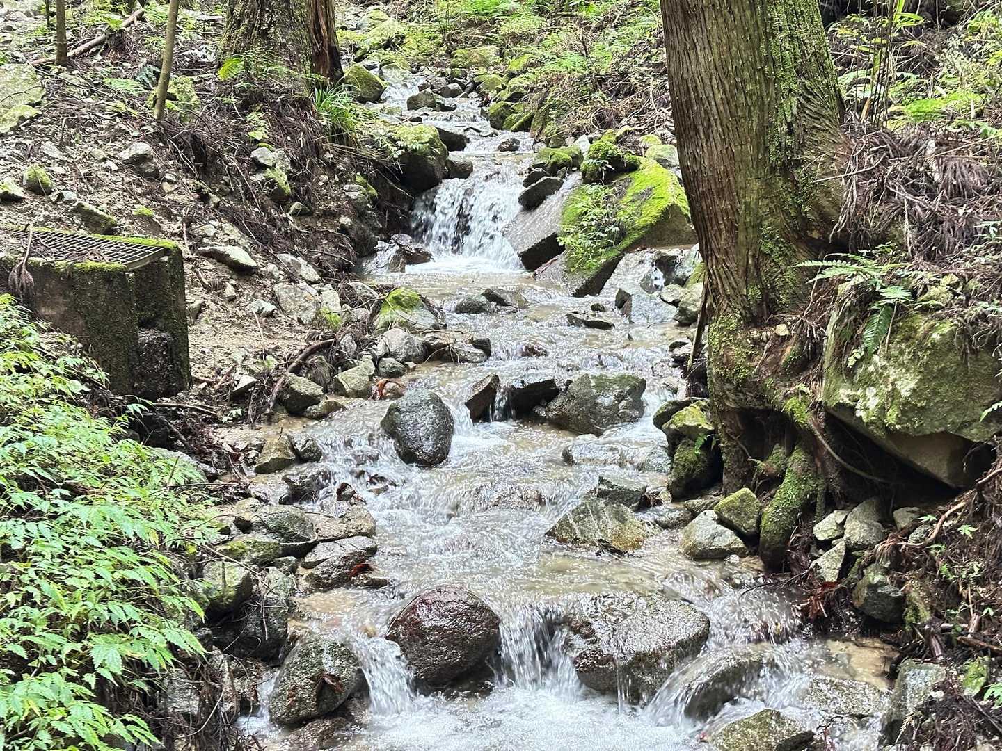 水が多い