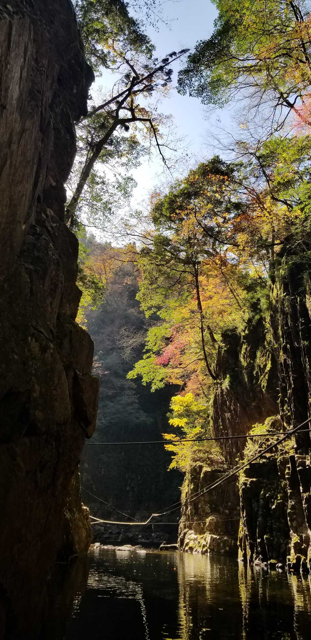ここ綺麗でした