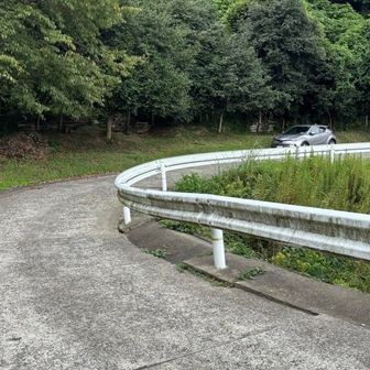 イイ場所に停めれたよ、よこぱーさん👍