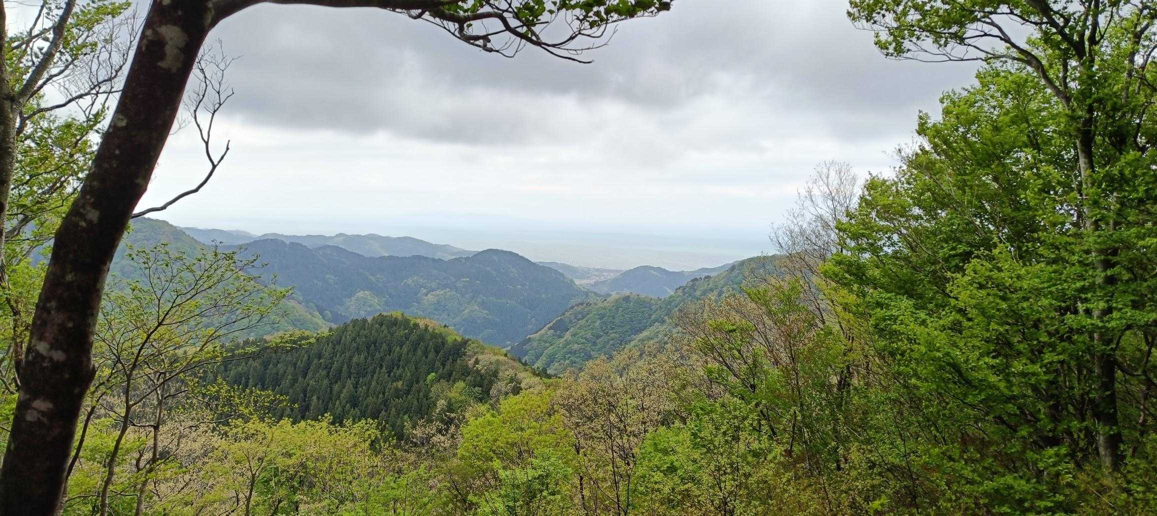 天候は曇り