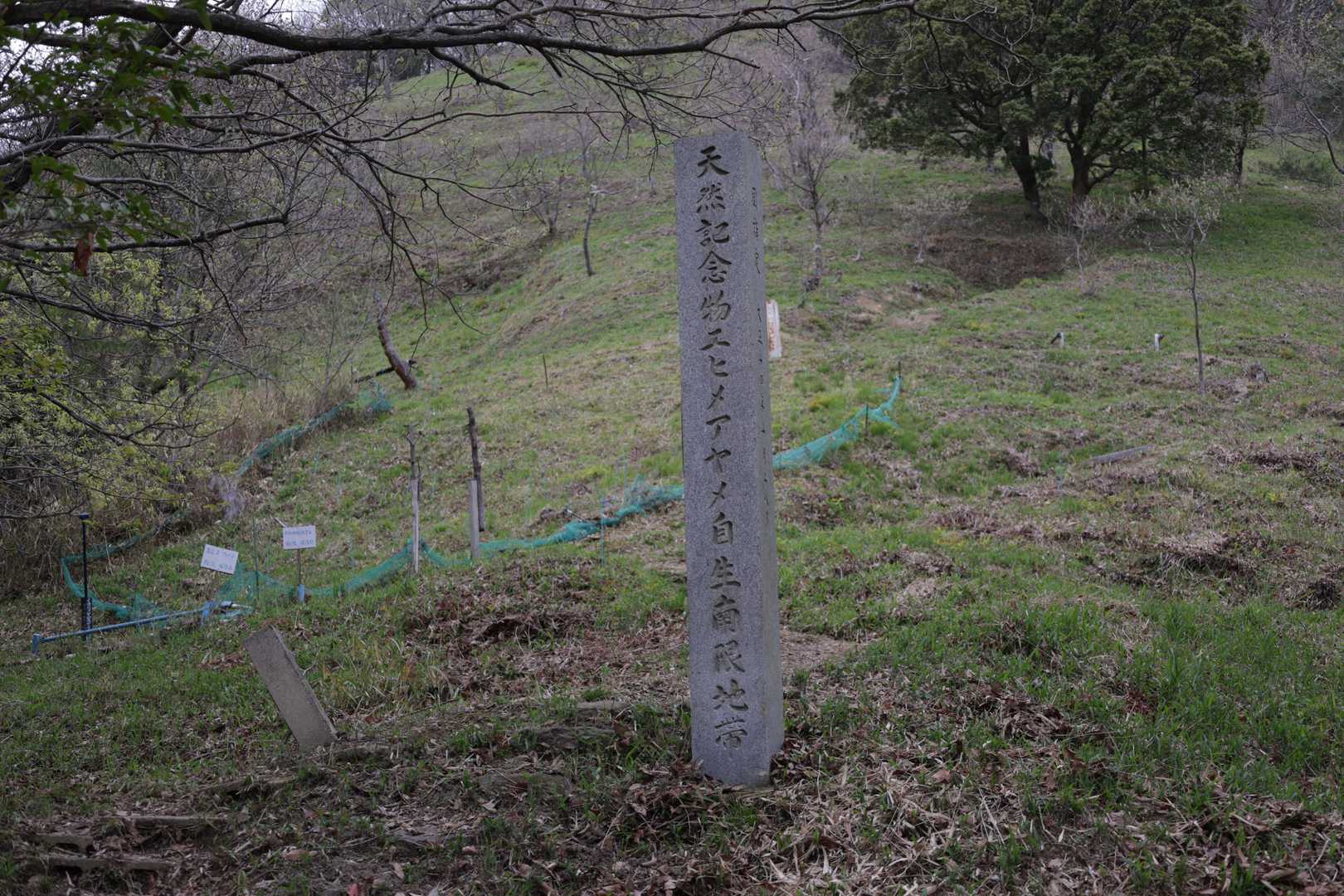 腰折山エヒメアヤメ登山道入口-腰折山 往復コースの写真