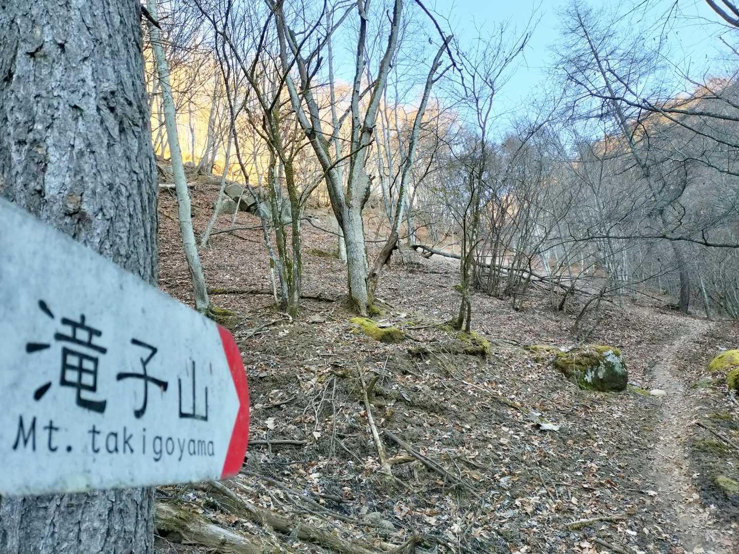 日陰ゾーンが終わらない💦