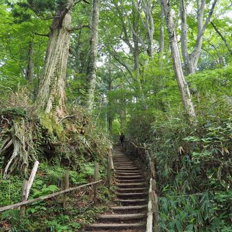 千早本道と合流し、最後の階段を登ります。