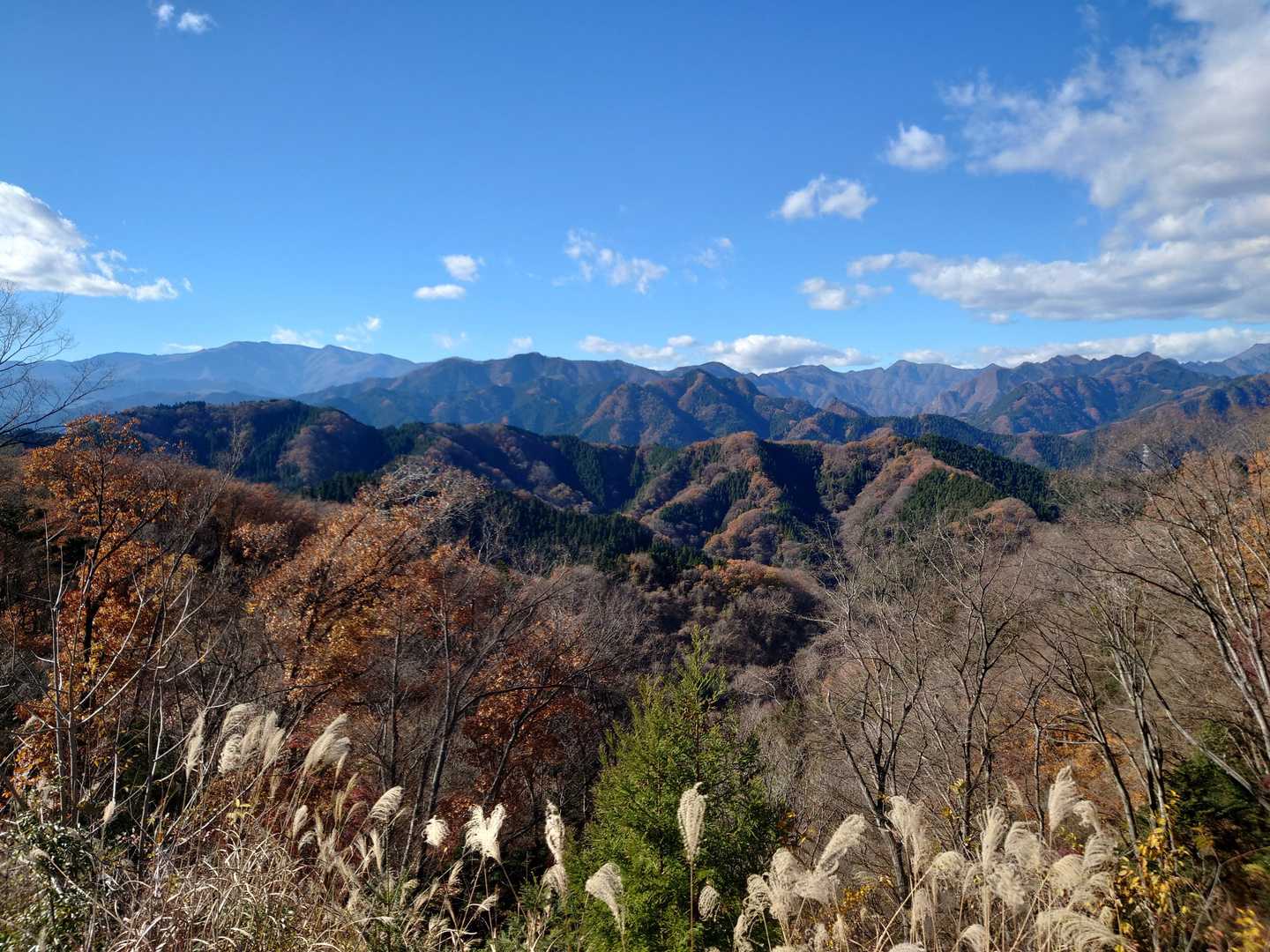 布沢峠-竜神山-兎岩登山口-釜の沢五峰登山口 縦走コースの写真