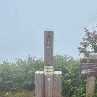 眺望の全く無い白砂山に到着
誰もいないと思っていたが、三国境側からの先客あり．旧三国スキー場から来たとのこと．後で調べたら遠くて驚く．