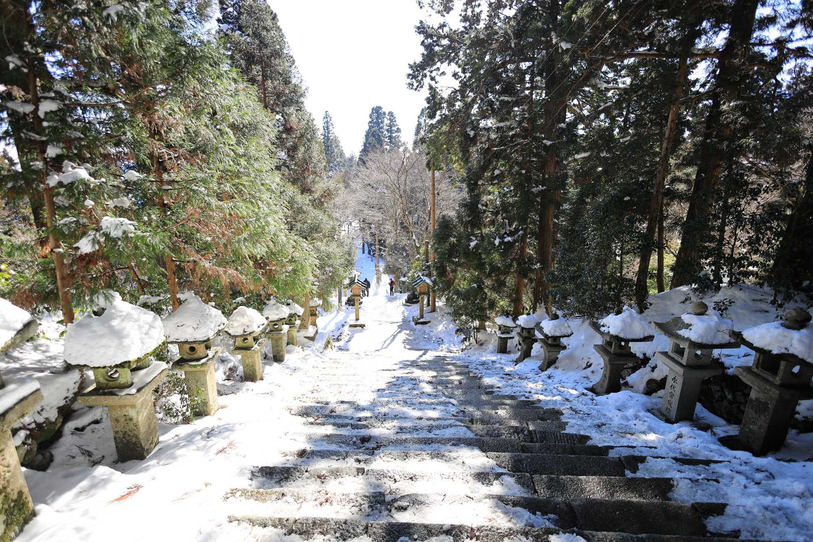 荒神峠-愛宕山 往復コースの写真