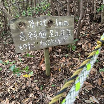 ロープが有難い！