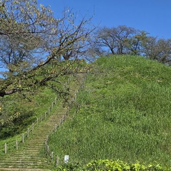 丸墓山古墳南階段