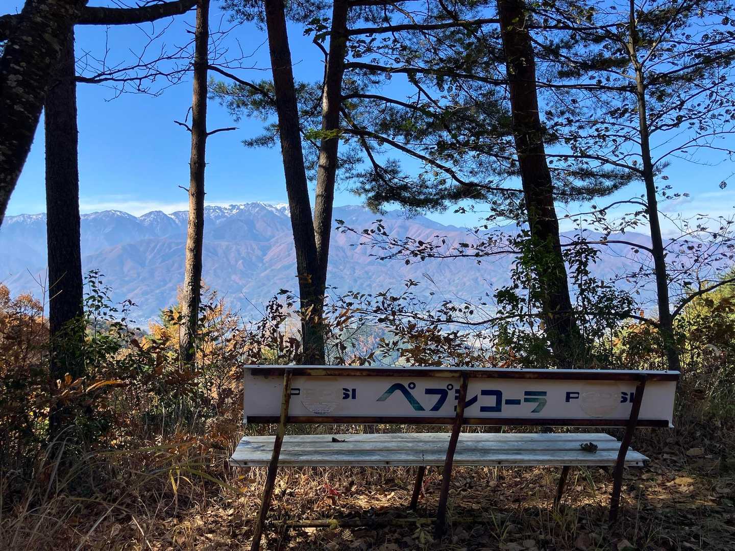高鳥谷神社参道入口-高鳥谷神社-高烏谷神社 奥社-高烏谷山 往復コースの写真