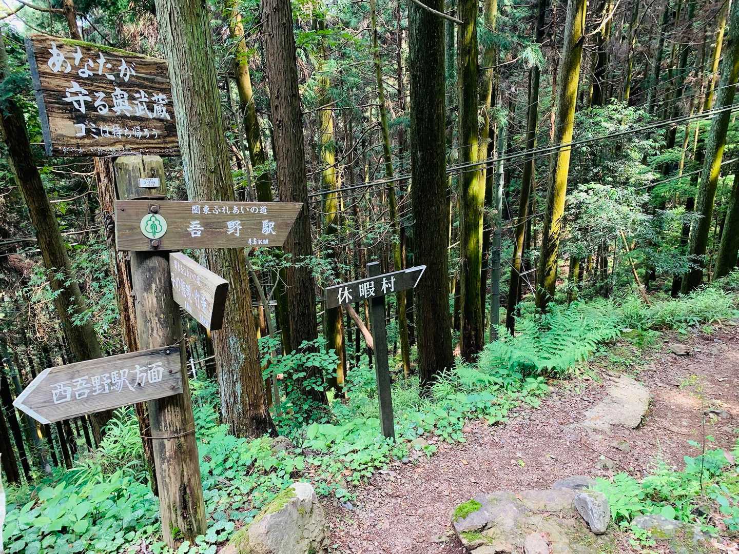そして吾野駅へ向かって下山。
アップダウンなしの正真正銘の下山だ。