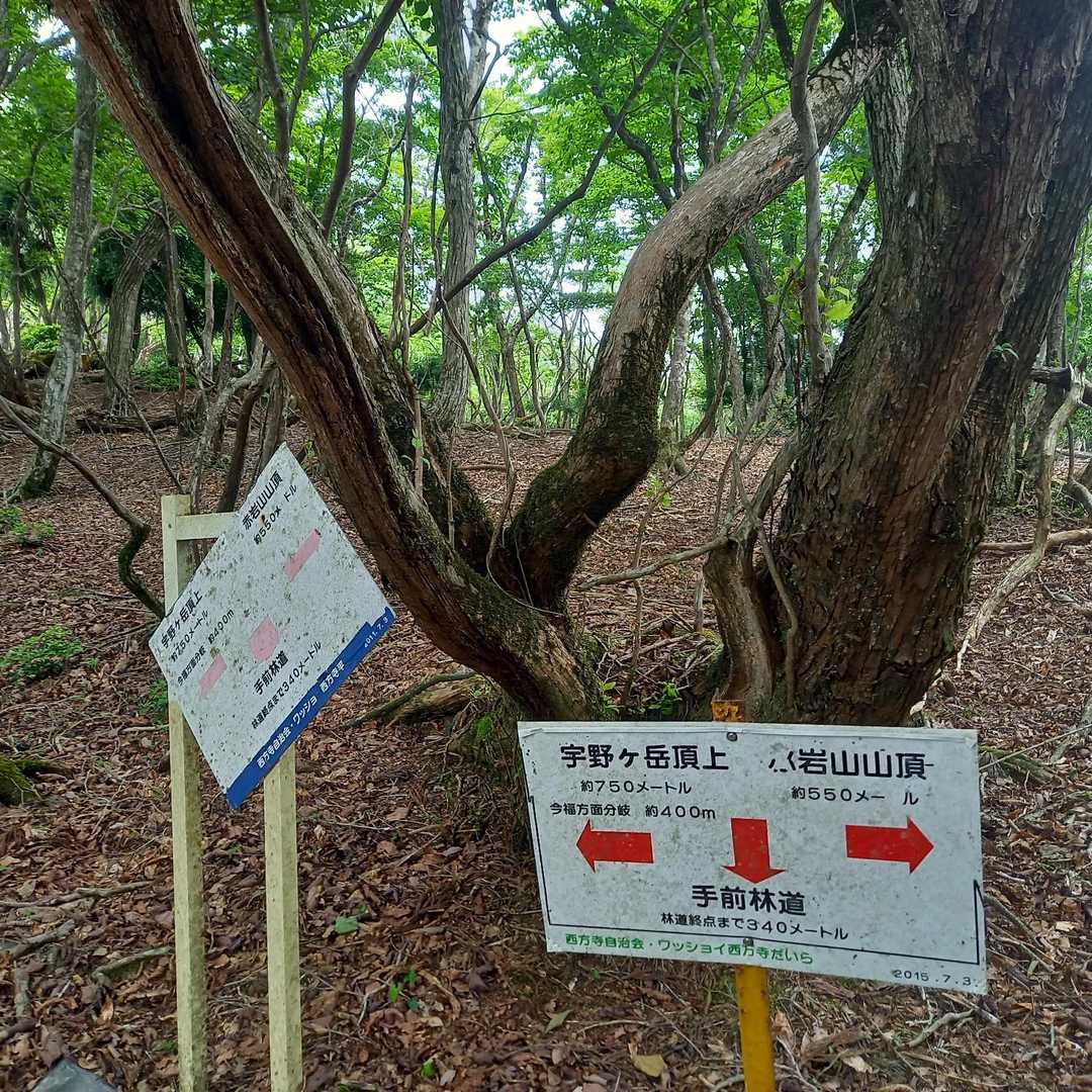 分岐にはこの手の標識あり
無ければ迷いそう💦