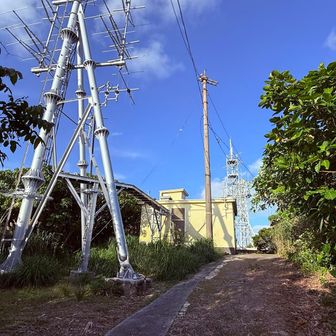 この辺が山頂のようです。