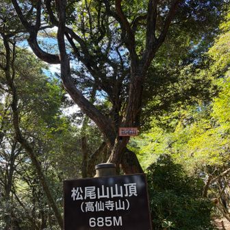松尾山山頂⛰️